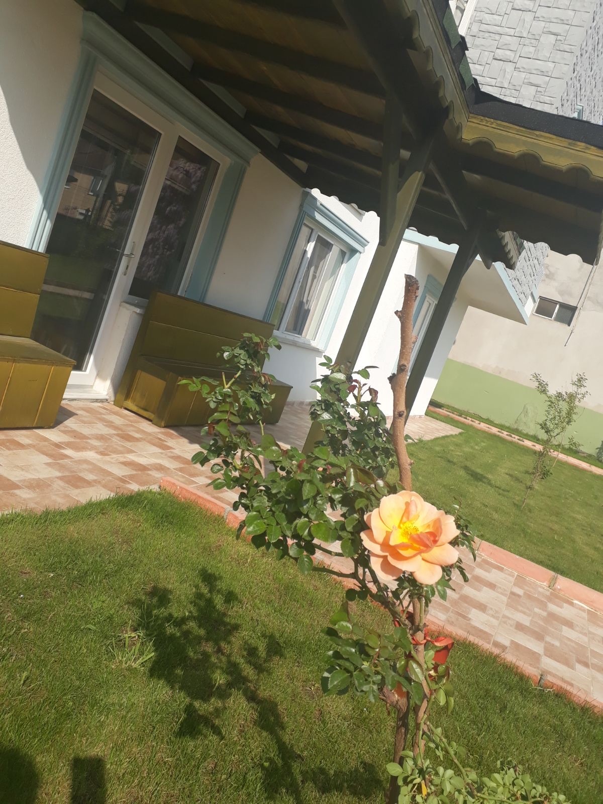 Gül bahçesi ve çardak